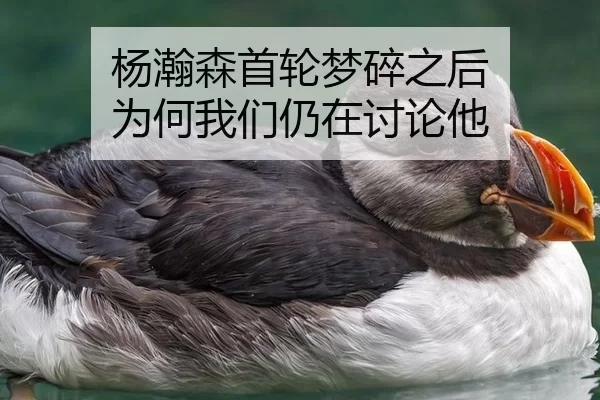 杨瀚森首轮梦碎之后 为何我们仍在讨论他